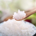 Wet Konjac Rice Supplier - Sugar Free Diabetic HALAL 270g