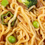 魔芋意面工厂-膳食纤维袋装270克减肥代工