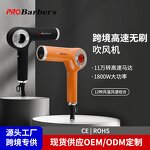 Hair Dryer Manufacturer - 1800W Salon Brushless 110000 RPM 3-Speed Anion