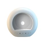 Speaker Manufacturer - Retro Mini Desktop Bedside Lamp Card-insertable Radio DW06