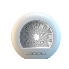 Speaker Manufacturer - Retro Mini Desktop Bedside Lamp Card-insertable Radio DW06