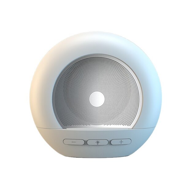 Speaker Manufacturer - Retro Mini Desktop Bedside Lamp Card-insertable Radio DW06