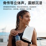 Headphones Manufacturer - X22 Bone Conduction 32g Memory IPX8 Waterproof LED