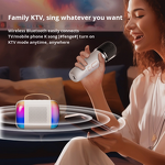 Speaker Manufacturer - Mini Bluetooth Integrated Microphone Home Theatre Stage