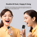 Speaker Manufacturer - Mini Bluetooth Integrated Microphone Home Theatre Stage