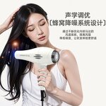 Hair Dryer Manufacturer - 2800W Salon Brushless 110000 RPM 3-Speed Anion
