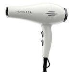 Hair Dryer Manufacturer - 3800W Salon Brushless 110000 RPM 3-Speed Anion