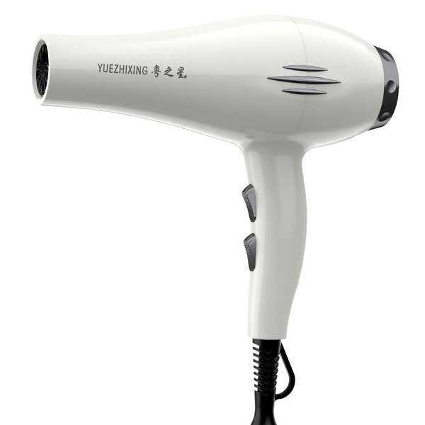 Hair Dryer Manufacturer - 3800W Salon Brushless 110000 RPM 3-Speed Anion