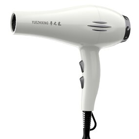 Hair Dryer Manufacturer - 1800W Salon Brushless 110000 RPM 3-Speed Anion