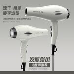 Hair Dryer Manufacturer - 3800W Salon Brushless 110000 RPM 3-Speed Anion