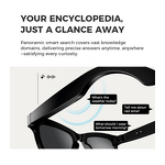 Smart Glasses Manufacturer - 2025 M01 UV 5MP Camera AI Translation Men's Wearable