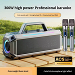Speaker Manufacturer - High Volume Bluetooth Outdoor Karaoke 10W RGB LED