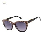 Sunglasses Manufacturer - Omelle Brand Designer Women Custom Logo Leopard Retro Cat-Eye