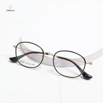Eyeglasses Frames Manufacturer - Super Lightweight Screwless No Screw Stainless Steel Optical