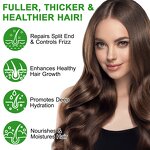 Rosemary Cream - Organic Solid Hair Growth Oil Ointment Thin Hair Batana