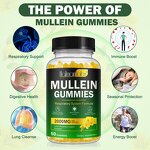 Gummy Manufacturer - Private Label Mullein Leaf Extract Lung Cleanse Detox Organic