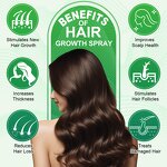 Hair Oil Spray - 120ml Natural Batana Rosemary Fast Hair Growth Scalp Care