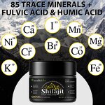 Shilajit Resin - Wholesale 60g Black Gold Grade 100% Pure 85 Trace Minerals