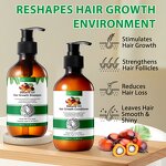 Hair Shampoo - Private Label Batana Oil Anti Frizz Shampoo and Conditioner