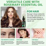 Rosemary Oil - Wholesale Bulk Natural Organic Extract Hair Growth Skin Care