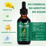 Liquid Drop Manufacturer - 60ml Mullein Lung Cleanse Chlorophyll Food Grade Extract