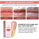 Lip Plump Oil - Wholesale Private Label Natural Instant Hydrating Extreme Gloss