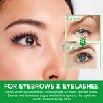 Rosemary Oil - Wholesale 100% Pure Organic Scalp Nourishing Hair Growth