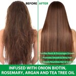 Hair Shampoo - Private Label Batana Oil Anti Frizz Shampoo and Conditioner