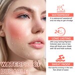 Blush Manufacturer - Wholesale Vegan Matte Dewy Cream 5 Colors Liquid Cheek Tint