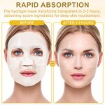 Face Mask Manufacturer - Hydrogel Snail Essence Collagen Repair Brightening Hydrating