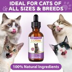 Pet Supplement - Worafy Cat L-Lysine 60ml Immune Tear Stain Chicken Flavor