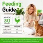 Pet Treats - Worafy Cat Hairball 100g Psyllium Husk Omega-3 Chicken Flavor