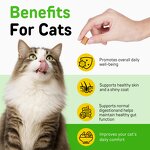 Pet Treats - Worafy Cat Hairball 100g Psyllium Husk Omega-3 Chicken Flavor