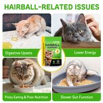 Pet Treats - Worafy Cat Hairball 100g Psyllium Husk Omega-3 Chicken Flavor