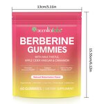 Gummy Manufacturer - Acentiallabs Berberine 60pcs Sugar Free ACV Cinnamon