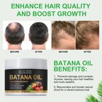 Batana Oil - ELbbuB 100% Organic Unrefined Anti Hair Loss Repair Growth