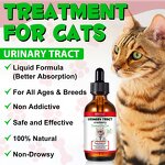Pet Supplement - Oimmal 60ml Cranberry Urinary Tract Bladder Health Cat
