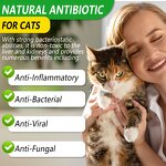 Pet Supplement - Oimmal 60ml Natural Antibiotic Anti Bacterial Inflammatory Cat