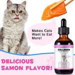 Pet Collagen - Oimmal Bacon Flavor Liquid Coat Itch Digestive Joint Dog
