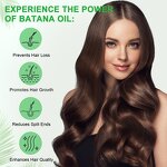 Batana Oil - ELbbuB 100% Organic Unrefined Anti Hair Loss Repair Growth