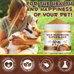 Pet Supplement - OIMMAI 120g Organic Mushroom Extract Immune Dogs Cats
