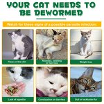 Pet Collagen - Oimmal Bacon Flavor Liquid Coat Itch Digestive Joint Cat