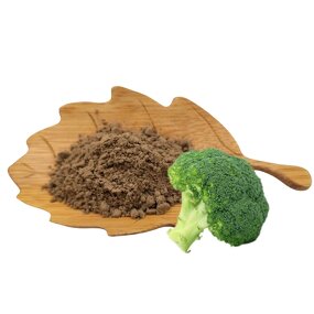Broccoli Extract Manufacturer - Sulforaphane Powder, Wholesale Price