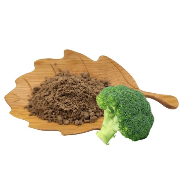 Broccoli Extract Manufacturer - Sulforaphane Powder, Wholesale Price