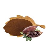 Cocoa Powder Manufacturer - Natural Bulk