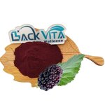Mulberry Fruit Extract Manufacturer - 25% Anthocyanin, Bulk