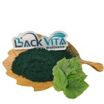 Mulberry Leaf Extract Manufacturer - Sodium Copper Chlorophyllin Green Pigment