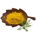 Quercetin Powder Manufacturer - 95% HPLC, Sophora Japonica Extract