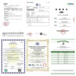 Quercetin Powder Manufacturer - 95% HPLC, Sophora Japonica Extract