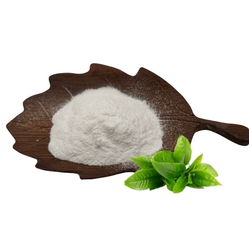 Green Tea Extract Manufacturer - 70% EGCG, Wholesale Price